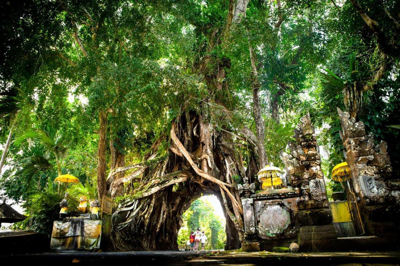 The Asri Villas Jembrana  ภายนอก รูปภาพ